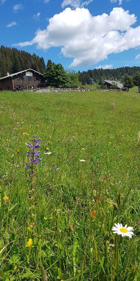 Gite Les Lanfiannes Thorens-Glières Exteriör bild