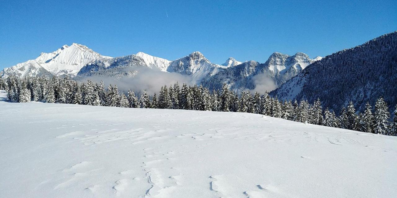 Gite Les Lanfiannes Thorens-Glières Exteriör bild