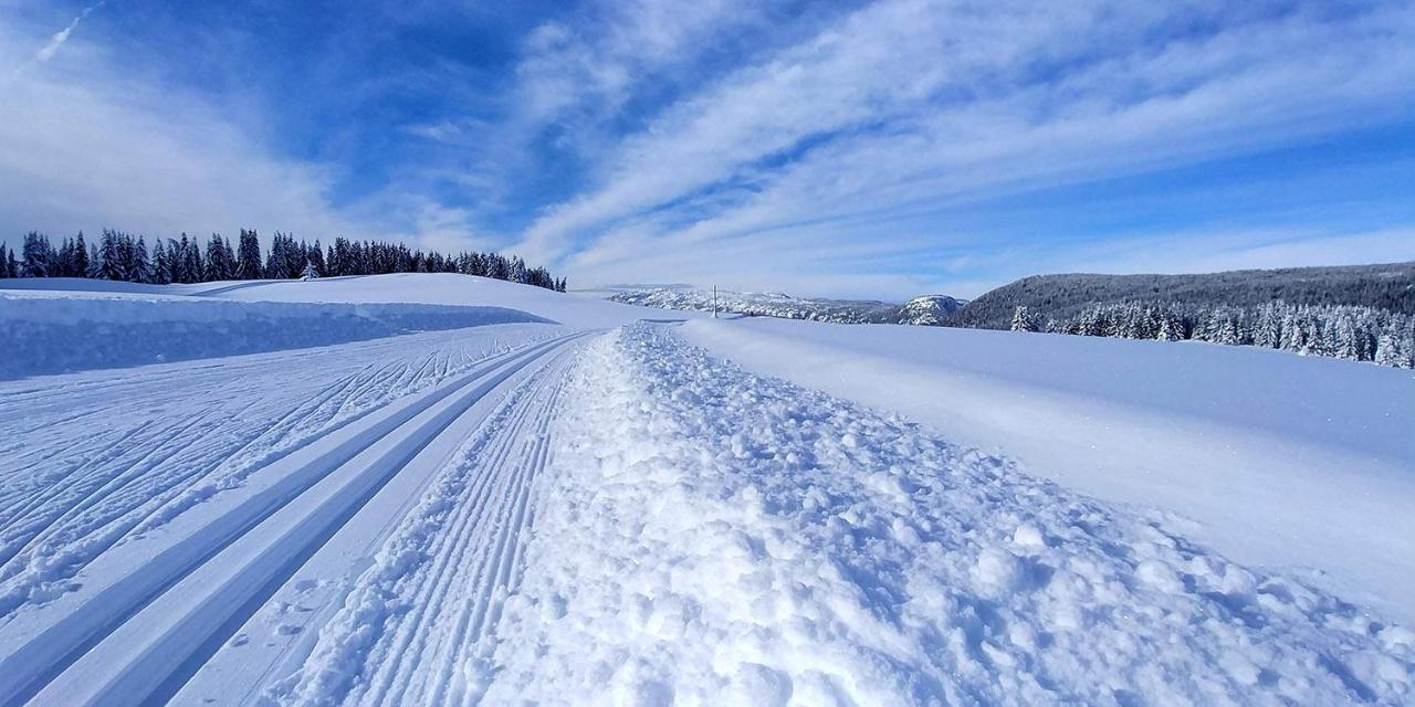 Gite Les Lanfiannes Thorens-Glières Exteriör bild
