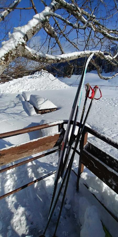 Gite Les Lanfiannes Thorens-Glières Exteriör bild
